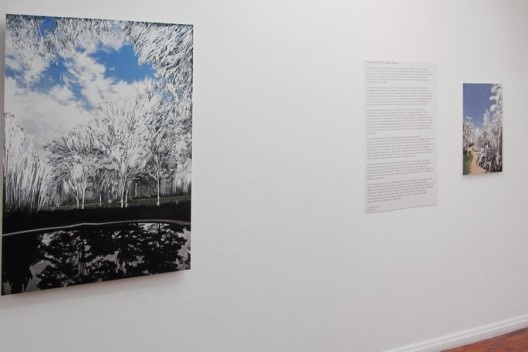 Exposição Rosângela Dorazio<br />Foto divulgação 