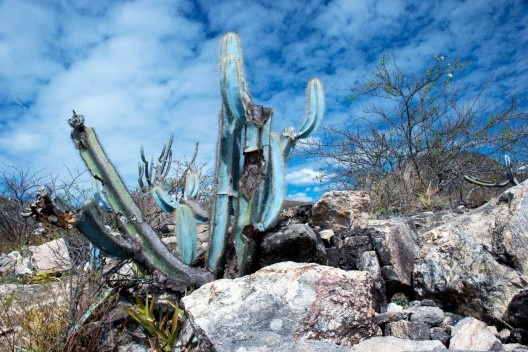 Parque Estadual da Pedra Azul, Rota do Lagarto ES<br />Foto José Tabacow 
