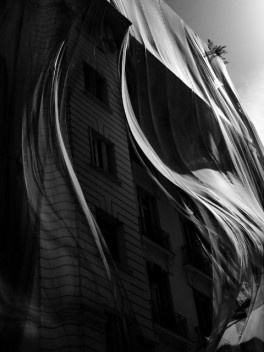 Véus. Exposição de fotografias de Thales Leite