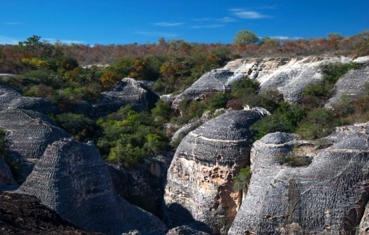 Parque Nacional da Serra da Capivara, São Raimundo Nonato PI, Brasil<br />Foto José Tabacow 