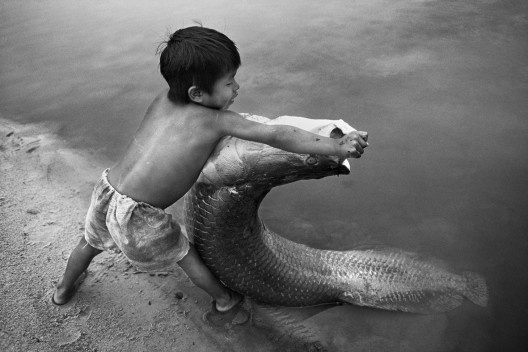 Menino carajá com pirarucu, Tocantins, 1992<br />Foto Araquém Alcântara 