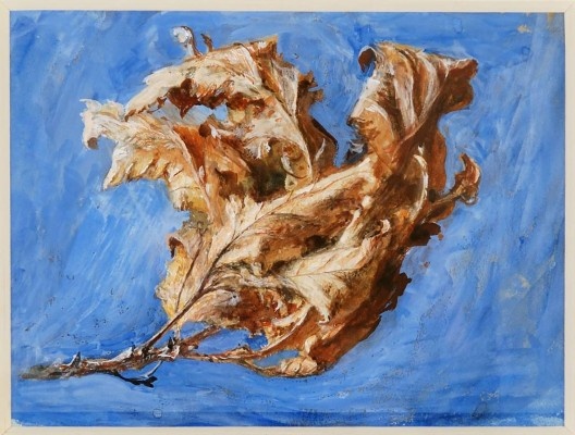 John Ruskin, <i>Study of Spray of Dead Oak Leaves</i>, 1879. Aquarela<br />Imagem divulgação  [Coleção Guild of St George (Museu Sheffield)]