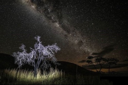 Noturna<br />Foto Santini @santini_._  [Narrativas Fotográficas / Instagram]