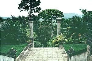 Sítio Santo Antônio da Bica – Barra da Guaratiba, Rio<br />Foto Ana Rosa 2000 