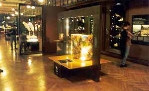 Grande Galeria da Evolução, Paris. O Homem e a evolução