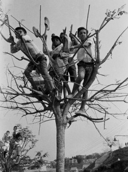 Meninos assistindo a jogo de fora do Pacaembu, São Paulo, 1941<br />Foto Thomaz Farkas  [Acervo Instituto Moreira Salles]
