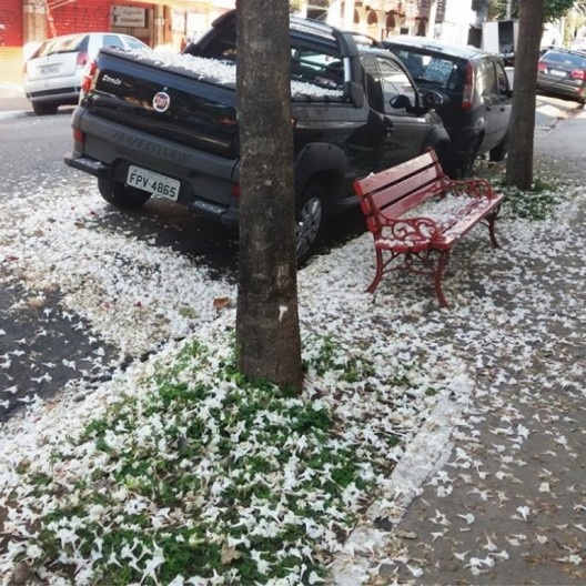 Café Sabelucha, de Segismundo Bruno, Bixiga, São Paulo<br />Foto Lizete Rubano 