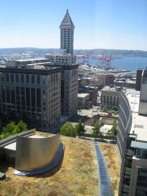 Fotografia de um teto verde no edifício da prefeitura de Seatlle – Washington – Estados Unidos
