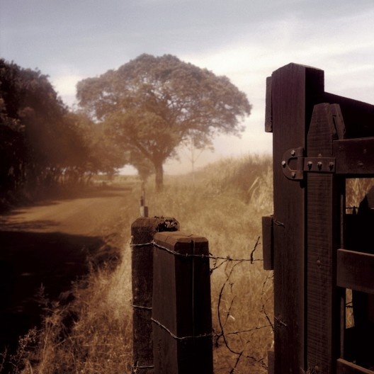 Fotografia do livro “Caminhando com Portinari”<br />Foto Alan Nielsen  [divulgação]