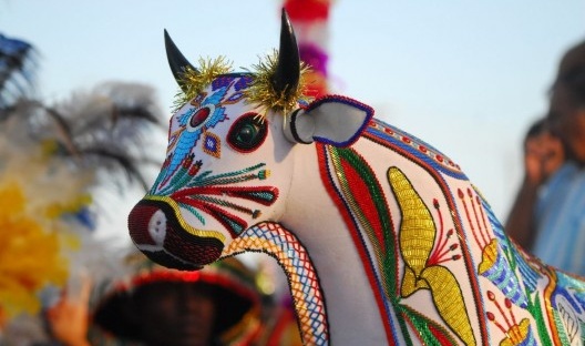 Bumba Meu Boi do Maranhão, patrimônio cultural da humanidade<br />Foto divulgação  [Agência Brasil]