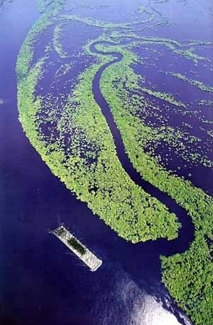 05 de outubro de 2003: Em algum lugar da Amazônia