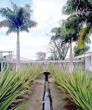 Jardim do hospital, córrego<br />Foto atual de Alexandre Pessoa 