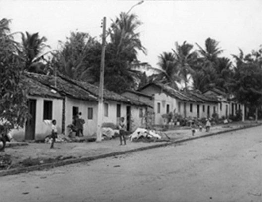 Município de Sirinhaém PE<br />Foto Ivone Salsa 
