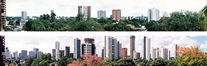 Figura 01 – Vistas panorâmicas do bairro de Casa Forte, com o skyline definido pelos edifícios: acima, dezembro de 1989; abaixo, outubro de 2004<br />Foto Claudia Loureiro 