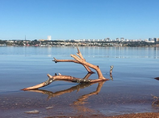 Tronco, lago e cidade ao fundo, 2018<br />Foto Sergio Jatobá 