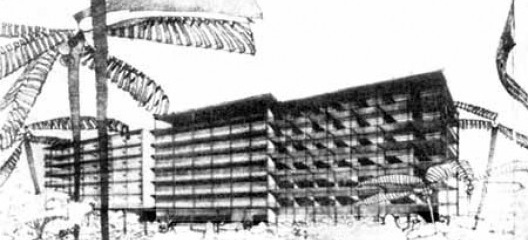 Projeto de hospital distrital para seiscentos leitos. Porto Rico, 1944
