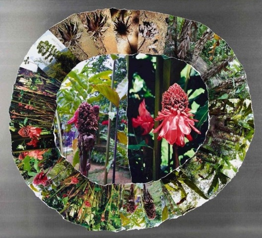 O Ciclo da Vida<br />Denise Milan 