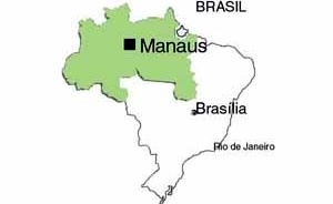 Figura 1 – Mapa do Brasil e a região norte do país, que abrange a Amazônia brasileira<br />Desenho Mirian Keiko Ito Rovo 