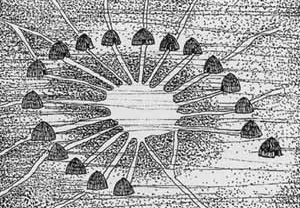Figura 11 – Aldeia Xavante tradicional. Na área central se desenvolve a vida social da comunidade. Ambas figuras nos remetem a circulação coberta da Aldeia SOS do Amazonas, principal ponto de interação social do complexo [Arquitetura Brasil 500 anos. Universidade Federal de Pernambuco, 2002. Volume 1]