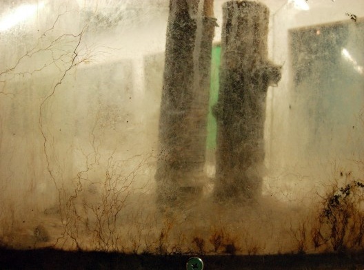 Enxertos, instalação artística de Carlos Teixeira, Fernando Maculan e Leonardo Costa Braga<br />Foto divulgação 