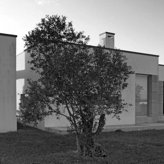 Casa na Cruz de Oliveira