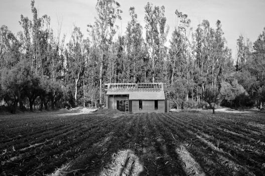 Vivienda T