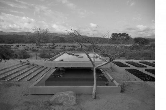 Vivero Guayacán