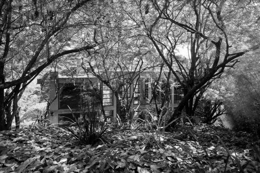 Concurso internacional Private Plots & Public Spots