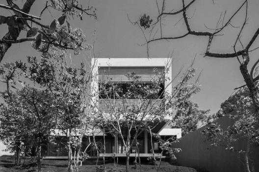 Casa da Copaíba