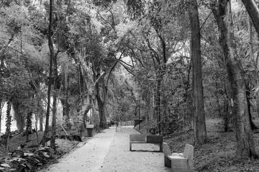 Parque Augusta