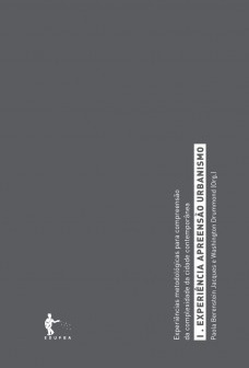 Experiências metodológicas para compreensão da complexidade da cidade contemporânea